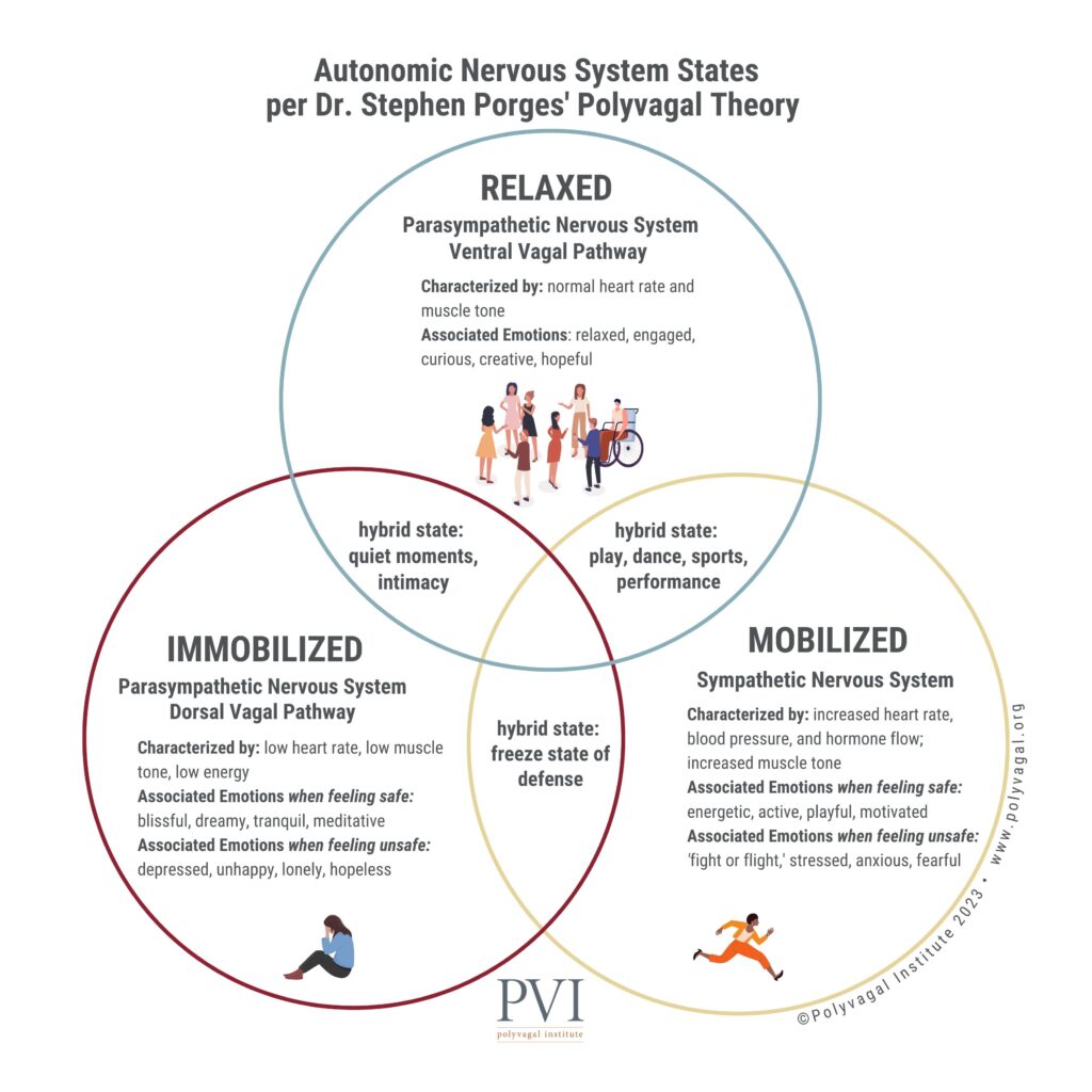 Autonomic Nervous System States per Dr. Stephen Porges' Polyvagal Theory.  Helping us understand Pathological Demand Avoidance and behaviors as communication. 