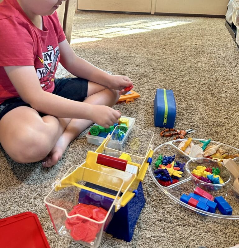 Exploring balance, weights, and variety of objects 