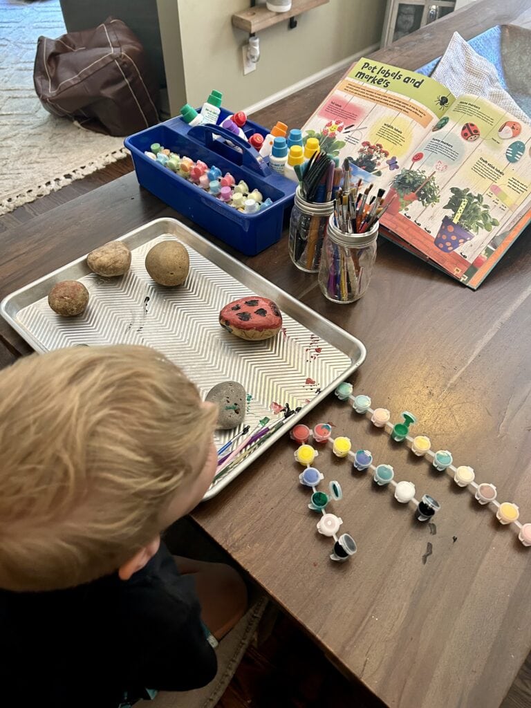 Rocks and paint and child making pet rocks