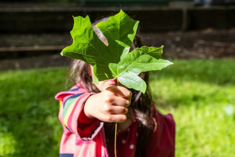Child with leaf-Science Self-directed learning ideas