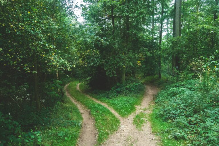 Picture of different paths representing being flexible an important approach for self-directed learning.