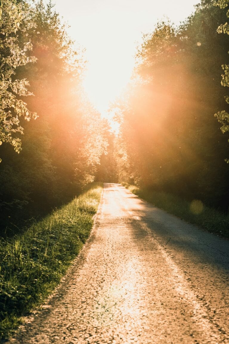 Road with bright light shining down- symbolizes the path moving forward as you drop demands, increase autonomy and stabilize your family by learning about and implementing low-demand parenting.
