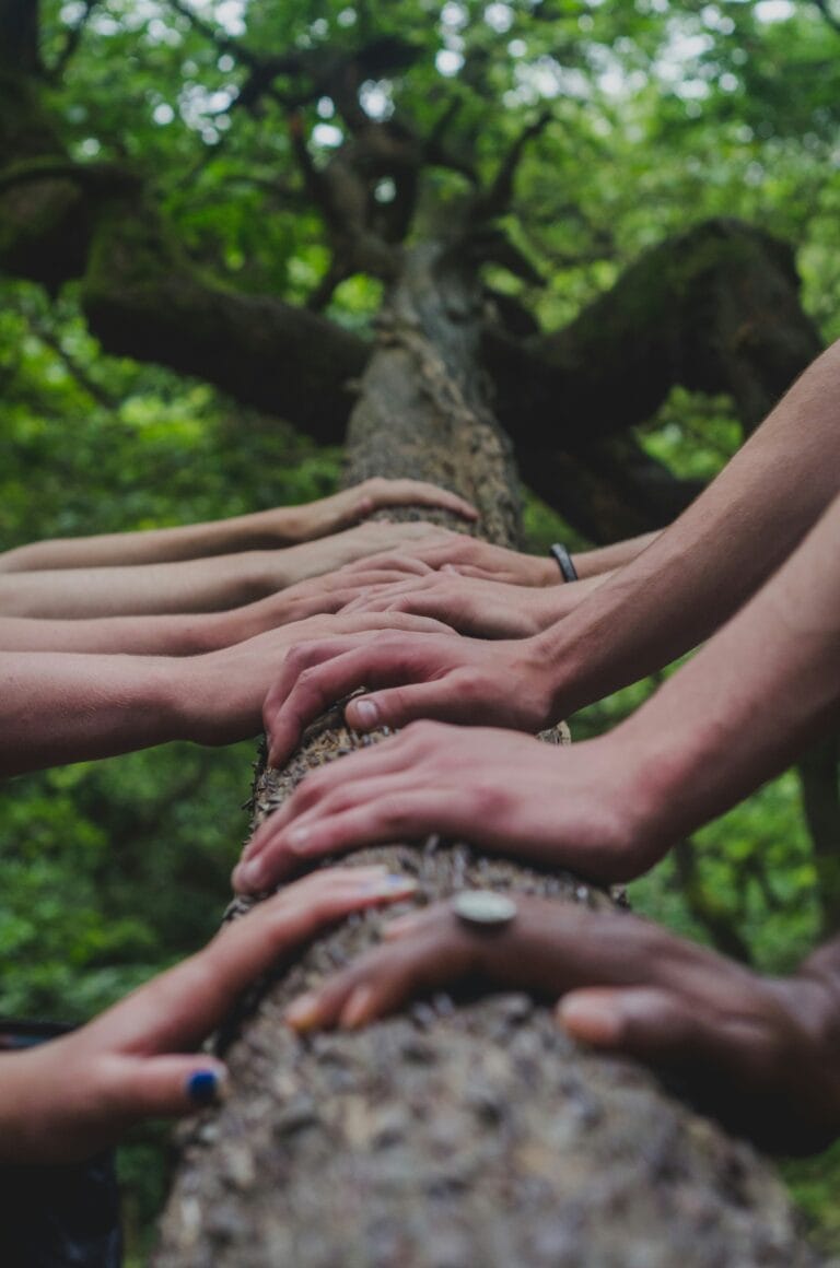 Picture of hands together working together and supporting one another.  Self-directed learning supports and guidance.  